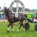 Looee wins Methven Cup