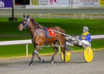 Mister Smartee boosts WA Cup prospects