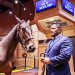 Highest priced yearling filly ever sold at Lexington