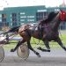 Quebec-bred Open Trot at H3R Sunday