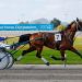 Cornwall's "satisfying" win with former southern trotter 1 Cornwall’s “satisfying” win with former southern trotter