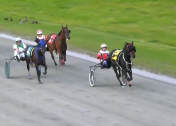 North American wins leader reaches 20 at Northside