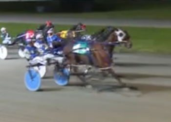 Five straight, lifetime best for BC-bred Stake winner