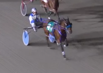 Rookie colt stays perfect in BC-bred Stake