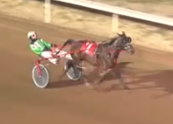 Stash The Cookies too good in Preferred