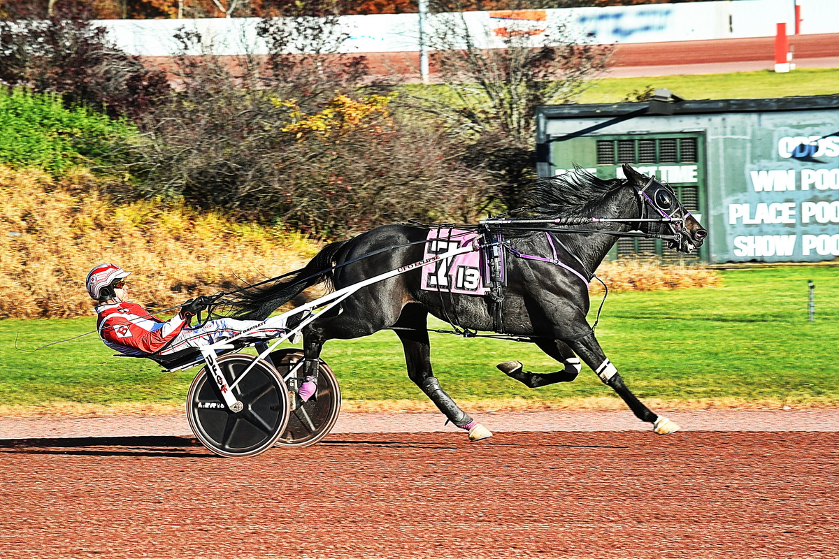 Powerful finish to Simpson Memorial stakes races