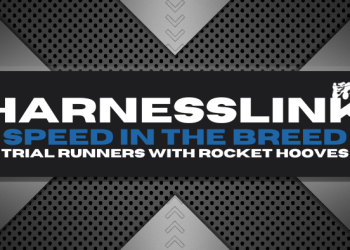 Speed in the breed – Son of Lauraella one to follow at Rangiora