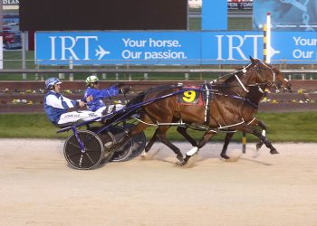 Judge unable to split them in Hilarious Guest