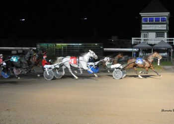 Time To Dance quadruples Campbell at Summerside