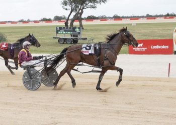 South Australian classics heat up