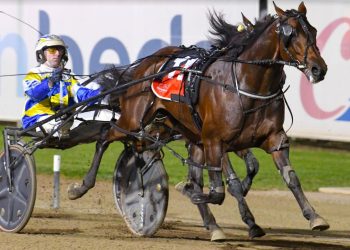 War Dan Buddy slays his opponents