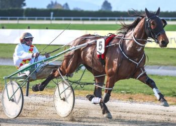 Stapleton’s team firing on all cylinders