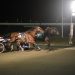 Baker holds on for slim NAADA Trot victory 4
