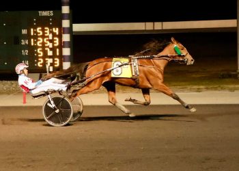 Divisional track record by Country Victory