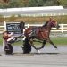 Turn The Page N wins fifth straight at Plainridge