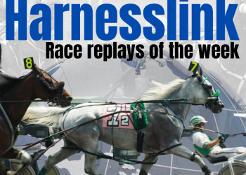Race replays of the week – Marketplace shows rare speed in New Zealand feature