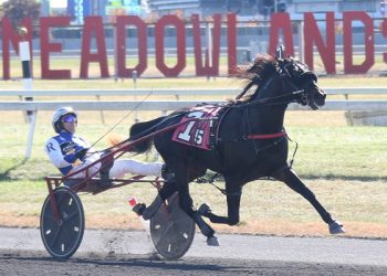 Favourites defeated in rookie male trot Crown elims