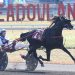 Favourites defeated in rookie male trot Crown elims