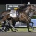 Sig Sauer goes out a Breeders Crown champion