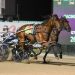 Grimson gives Jett his first Inter Dominion campaign