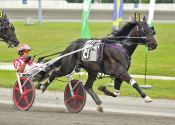 Sir Pinocchio earns District 8 Horse of the Year honors