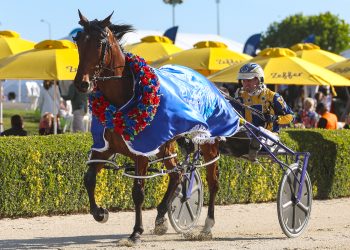 Grimson and Swayzee do the unthinkable in 121st NZ Cup