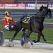 Zahara jogs to 6th G1 in the NZ Trotting Oaks