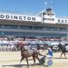 New Zealand Cup and Dominion facts and figures 3 New Zealand Cup and Dominion facts and figures