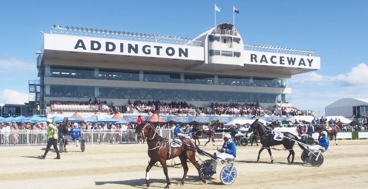 New Zealand Cup and Dominion facts and figures