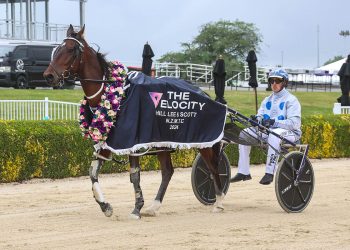 Better Knuckle Up shows plenty of punch in Velocity