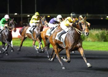 Filwell game in €90,000 l’Ile d’Oleron