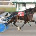 Preferred perfection at Red Shores 1 Preferred perfection at Red Shores