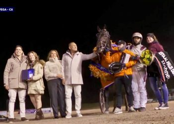 Hohneck battles to victory in Merwestaal