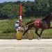 Sunshine State Stakes Finals contests at Sunshine Meadows 3