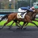 Kaya Dream wins €120,000 Prix Ceneri Forcinal