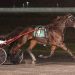 Minore and 'Mufasa' commanding in NAADA Fall Series Final 1 Minore and ‘Mufasa’ commanding in NAADA Fall Series Final