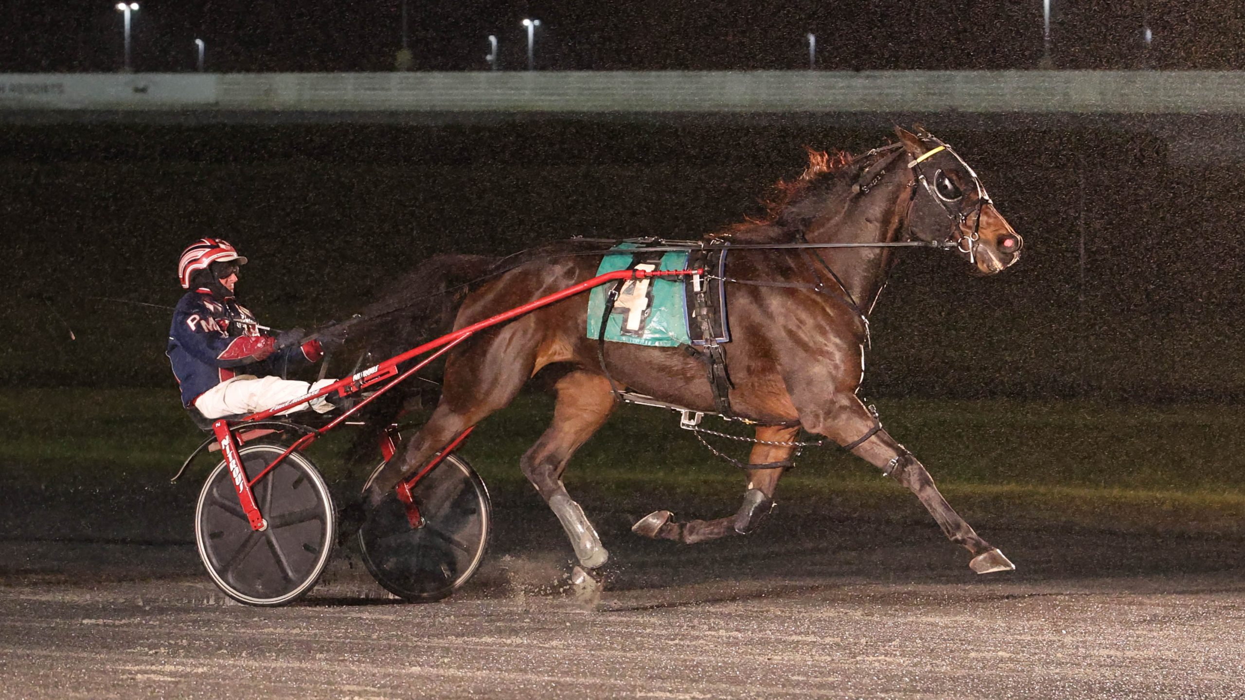 Minore and ‘Mufasa’ commanding in NAADA Fall Series Final