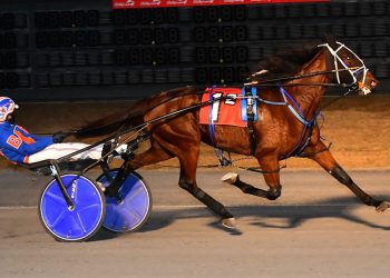 Lady Burg bounces back in DSBF prelim