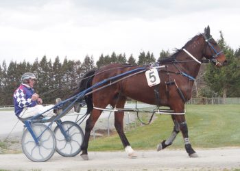 Hoffman heads to Oamaru, then Wyndham