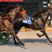 Givens doubles in DSBF filly prelims