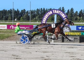 The Mountain could be heading to Invercargill