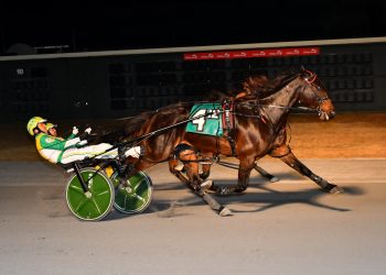 Majorca N beats Incaseyoudidntknow again