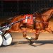 Primo Maschio produces career best to win $110,000 DSBF final
