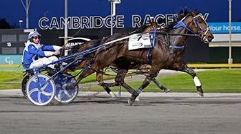 Red Rackham rocks harness punters at Manawatu