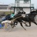 Roll Em favoured at Charlottetown Saturday