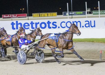 Just As Well ready for comeback after ‘unexplained incident’