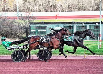 Pocket-sitters pop in Pocono feature