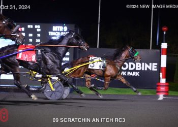 24-1 upset in Harvest Series