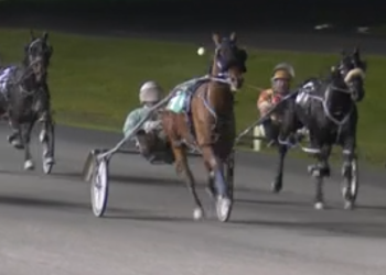 Win number 30 for Sunshine Beach gelding