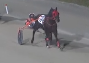 Sportsline reaches milestone